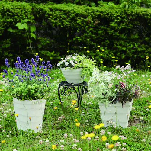 �A�b�v���E�F�A�[ �N���t�g�{�[�� 30�^ �z���C�g_4