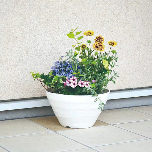 �A�b�v���E�F�A�[ �N���t�g�{�[�� 30�^ �z���C�g_5