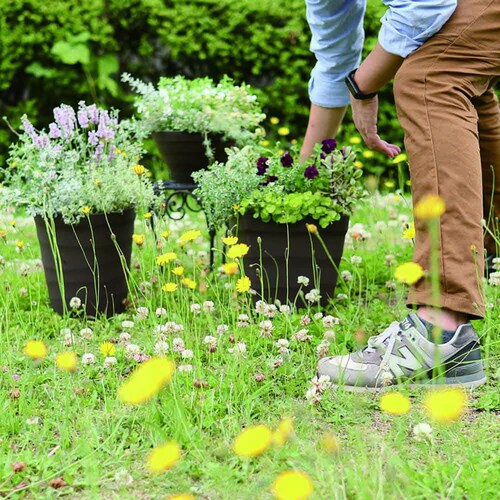 �A�b�v���E�F�A�[ �N���t�g�{�[�� 30�^ �z���C�g_7