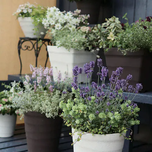 �A�b�v���E�F�A�[ �N���t�g�{�[�� 35�^ �z���C�g_5