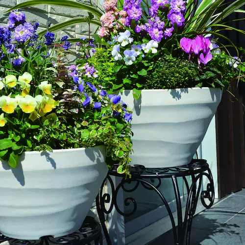 �A�b�v���E�F�A�[ �N���t�g�{�[�� 35�^ �z���C�g_7