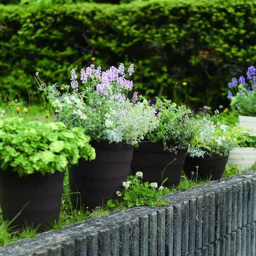 �A�b�v���E�F�A�[ �N���t�g�{�[�� 35�^ �z���C�g_8