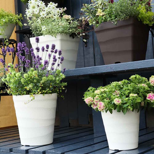 �A�b�v���E�F�A�[ �N���t�g�|�b�g 15�^ �z���C�g_3