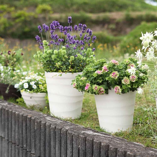 �A�b�v���E�F�A�[ �N���t�g�|�b�g 15�^ �z���C�g_4