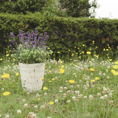 �A�b�v���E�F�A�[ �N���t�g�|�b�g 18�^ �_�[�N�u���E��_4