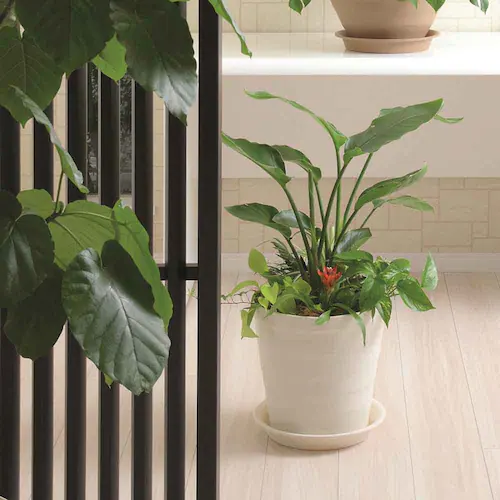 �A�b�v���E�F�A�[ �N���t�g�|�b�g 18�^ �_�[�N�u���E��_6