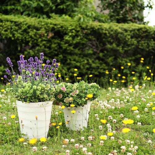 �A�b�v���E�F�A�[ �N���t�g�|�b�g 21�^ �z���C�g_4