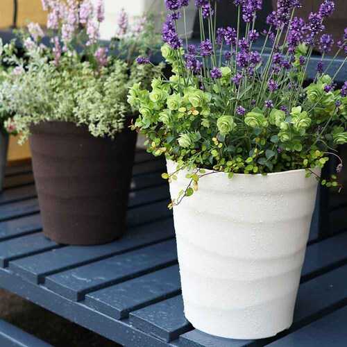 �A�b�v���E�F�A�[ �N���t�g�|�b�g 21�^ �z���C�g_5