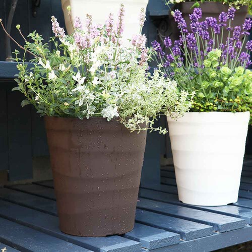 �A�b�v���E�F�A�[ �N���t�g�|�b�g 21�^ �z���C�g_10