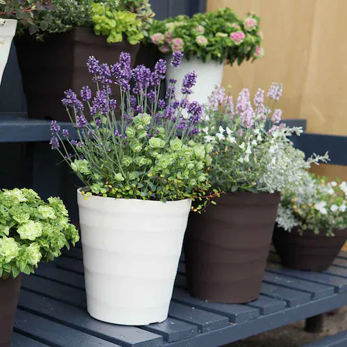 �A�b�v���E�F�A�[ �N���t�g�|�b�g 24�^ �z���C�g_4