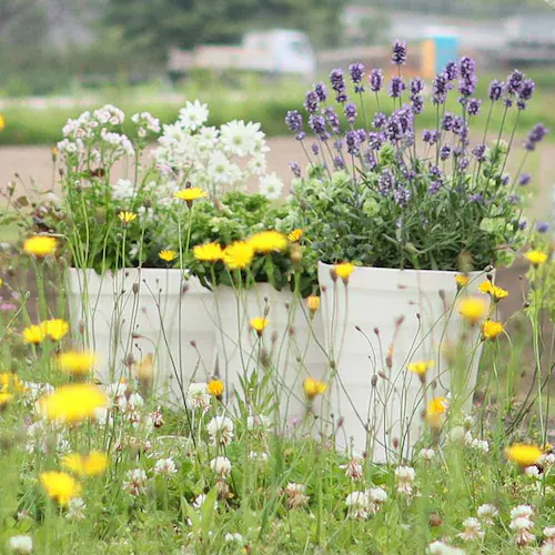 �A�b�v���E�F�A�[ �N���t�g�|�b�g 24�^ �z���C�g_5