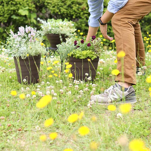 �A�b�v���E�F�A�[ �N���t�g�|�b�g 24�^ �z���C�g_10