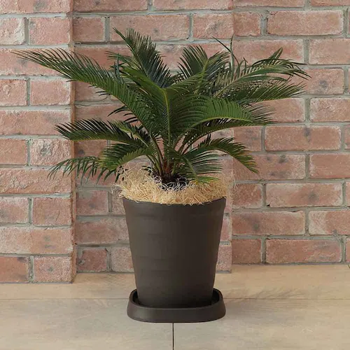 �A�b�v���E�F�A�[ �N���t�g�|�b�g 24�^ �z���C�g_12