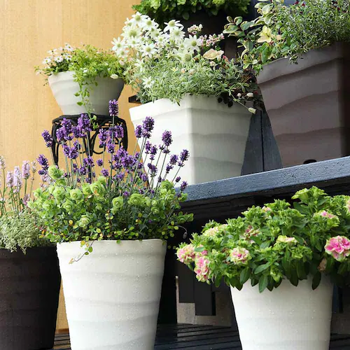 �A�b�v���E�F�A�[ �N���t�g�|�b�g 30�^ �z���C�g_5