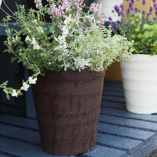 �A�b�v���E�F�A�[ �N���t�g�|�b�g 30�^ �z���C�g_10