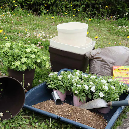 �A�b�v���E�F�A�[ �N���t�g�|�b�g 35�^ �z���C�g_11