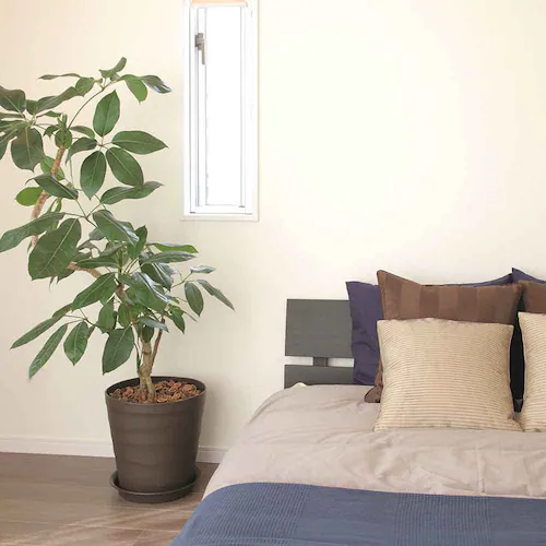 �A�b�v���E�F�A�[ �N���t�g�|�b�g 40�^ �z���C�g_12