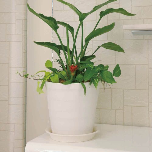 �A�b�v���E�F�A�[ �N���t�g�v���[�g 18�^�p �z���C�g_3