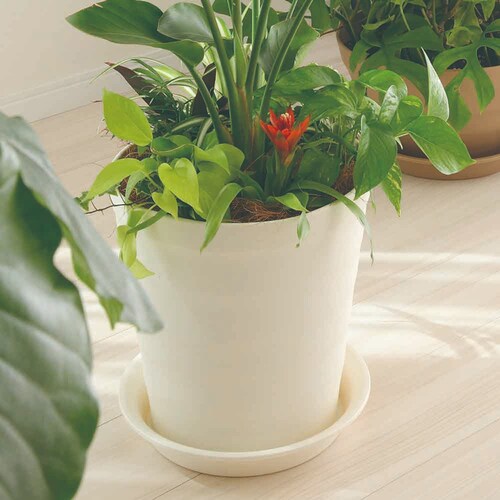 �A�b�v���E�F�A�[ �N���t�g�v���[�g 21�^�p �z���C�g_3