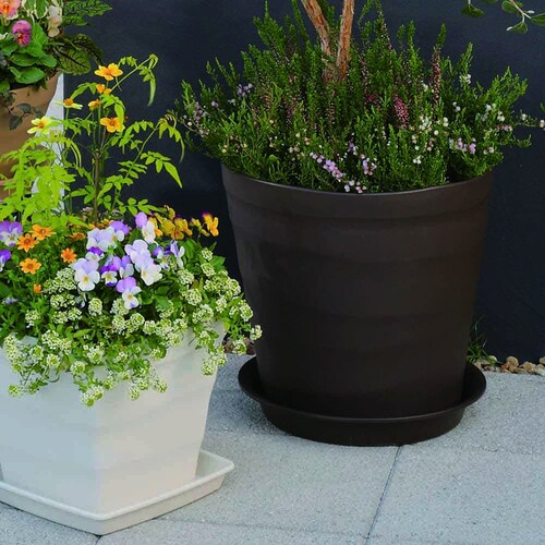 �A�b�v���E�F�A�[ �N���t�g�v���[�g 30�^�p �z���C�g_6