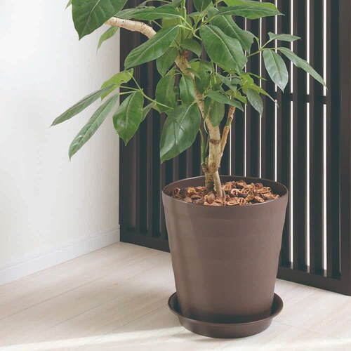 �A�b�v���E�F�A�[ �N���t�g�v���[�g 40�^�p �z���C�g_6