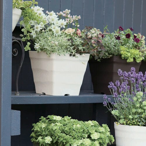 �A�b�v���E�F�A�[ �N���t�g�X�N�G�A 25�^ �z���C�g_4