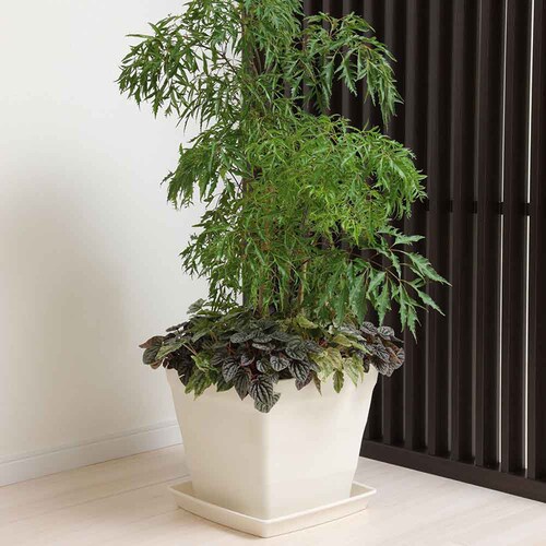 �A�b�v���E�F�A�[ �N���t�g�X�N�G�A 25�^ �z���C�g_6