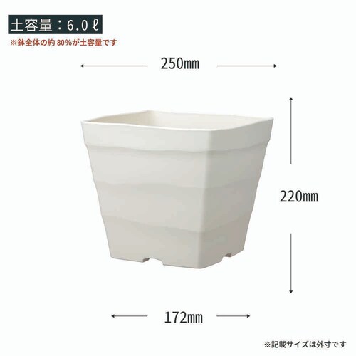 �A�b�v���E�F�A�[ �N���t�g�X�N�G�A 25�^ �z���C�g_7