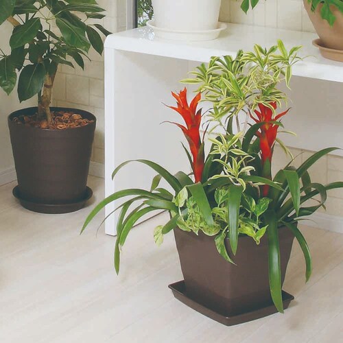 �A�b�v���E�F�A�[ �N���t�g�X�N�G�A 25�^ �z���C�g_12