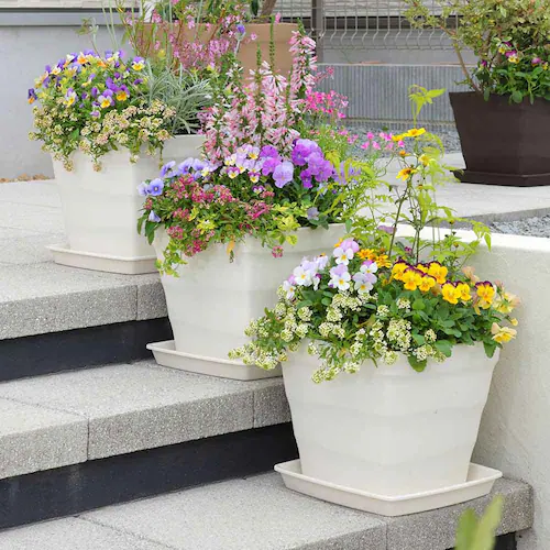 �A�b�v���E�F�A�[ �N���t�g�X�N�G�A 30�^ �z���C�g_4