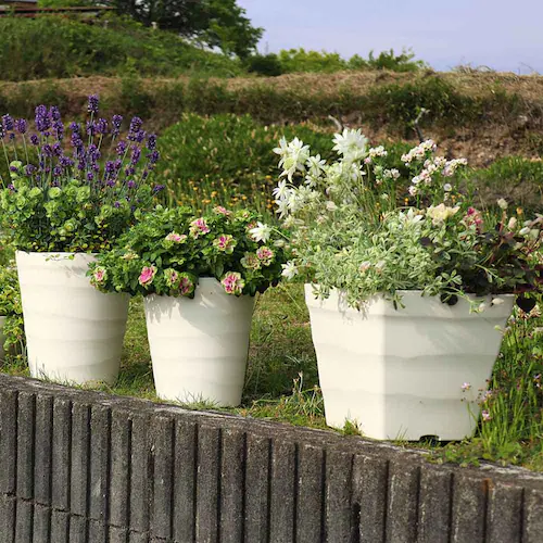 �A�b�v���E�F�A�[ �N���t�g�X�N�G�A 30�^ �z���C�g_5