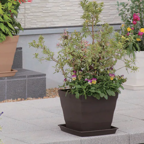 �A�b�v���E�F�A�[ �N���t�g�X�N�G�A 30�^ �z���C�g_11