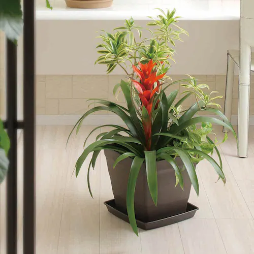 �A�b�v���E�F�A�[ �N���t�g�X�N�G�A 30�^ �z���C�g_12