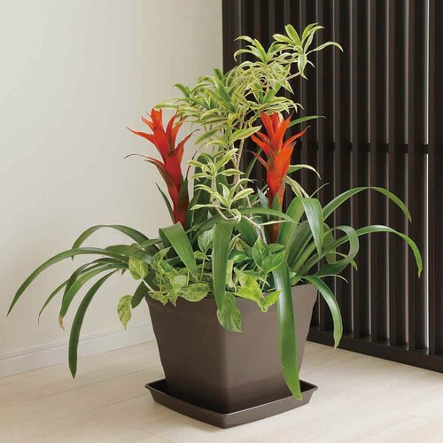 �A�b�v���E�F�A�[ �N���t�g�X�N�G�A�v���[�g 25�^ �z���C�g_7