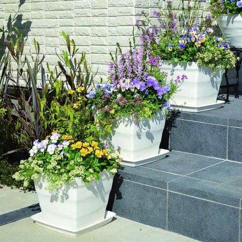 �A�b�v���E�F�A�[ �N���t�g�X�N�G�A�v���[�g 30�^ �z���C�g_3