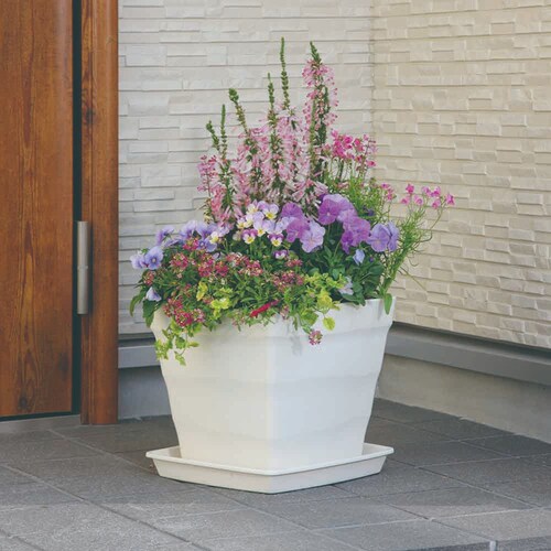 �A�b�v���E�F�A�[ �N���t�g�X�N�G�A�v���[�g 30�^ �z���C�g_4