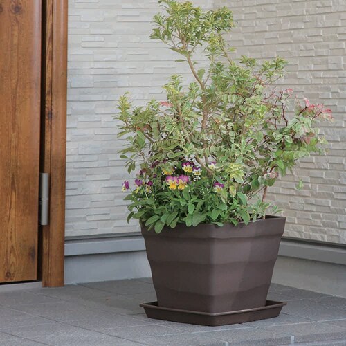 �A�b�v���E�F�A�[ �N���t�g�X�N�G�A�v���[�g 30�^ �z���C�g_7