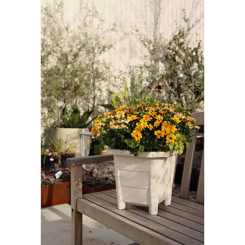 �A�b�v���E�F�A�[ �ԂƖ�؂̃v�����^�[ 300�^ �z���C�g_5