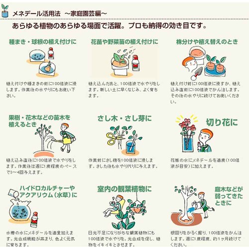 ���l�f�[�� ���l�f�[�� 100ml_2