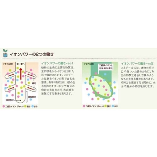 ���l�f�[�� ���l�f�[�� 500ml_2