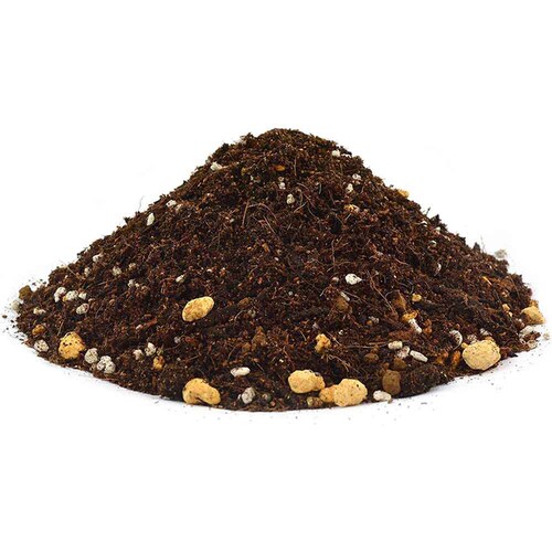 �Ԃ����� �t���{�_�z���Ԃ����|�{�yAB 5L_2