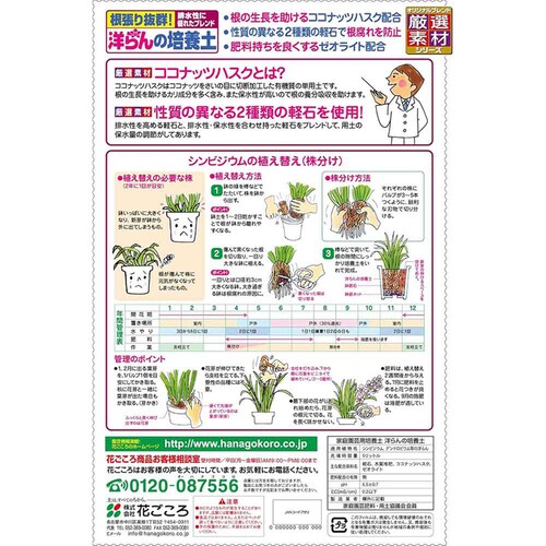 �Ԃ����� �t���{�_�z���Ԃ����|�{�yAB 5L_5