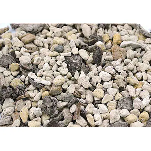 �Ԃ����� �t���{�_�z���Ԃ����|�{�yAB 5L_6