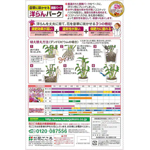 �Ԃ����� �m���o�[�N 5L_2