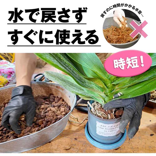 �Ԃ����� �m���o�[�N 5L_4