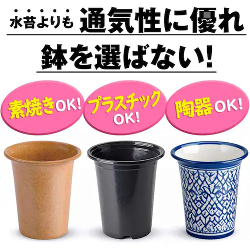 �Ԃ����� �m���o�[�N 5L_5