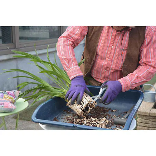 �Ԃ����� �m���o�[�N 5L_7