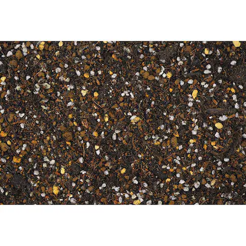 �Ԃ����� �m���o�[�N 5L_9