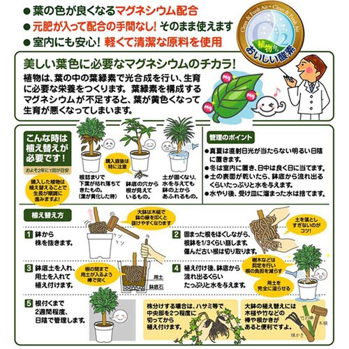 �Ԃ����� �m���o�[�N 5L_15