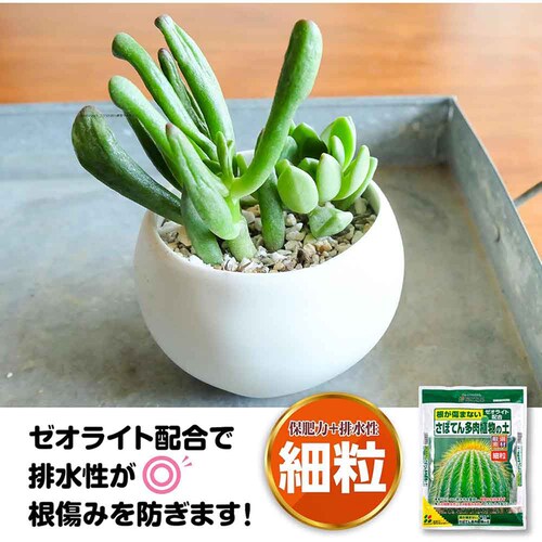 �Ԃ����� ���ڂĂ񑽓��A���̓y�i�ח��j 5L_2